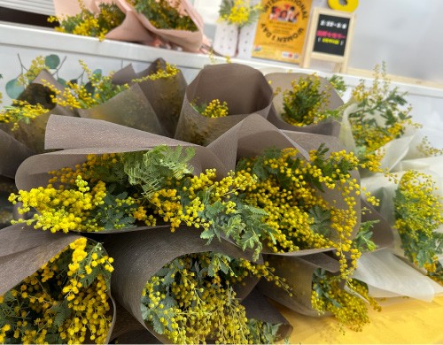 大阪トヨペット店舗での取り組みの様子