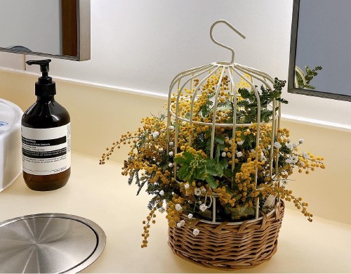 大阪トヨペット店舗での取り組みの様子