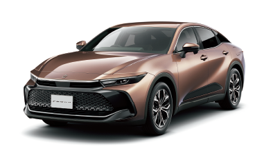 プレシャスブロンズ〈4Y6〉＊メーカーオプション