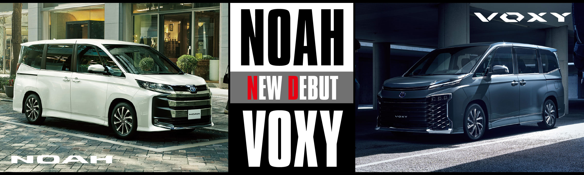 NOAH VOXY NEW DEBUT