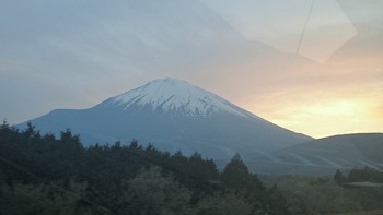 DSC_8270.jpg