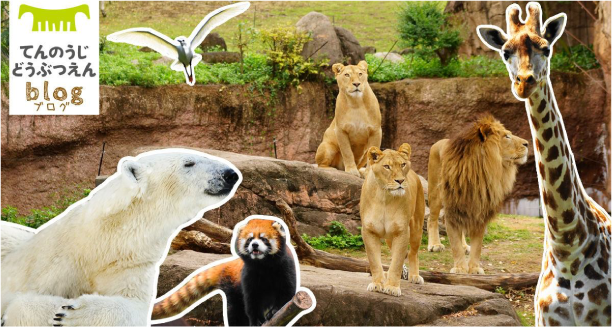 大阪トヨペットは天王寺動物園を応援しています