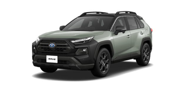 RAV4 “OFFROAD package II”